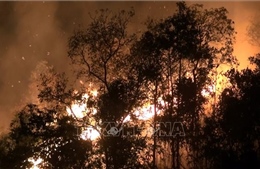 Điện Biên: Rừng cháy lớn trong nhiều giờ