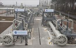 Nga quyết tâm hoàn tất dự án đường ống dẫn khí đốt tới châu Âu