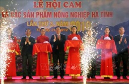 Khai mạc lễ hội cam và các sản phẩm nông nghiệp Hà Tĩnh lần thứ 3​
