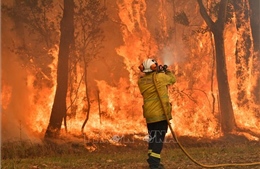 Australia tiếp tục chiến đấu với cháy rừng trong dịp lễ Giáng sinh