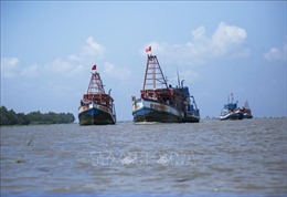 Chấn chỉnh tình trạng tàu cá khai thác trái phép ở vùng biển nước ngoài