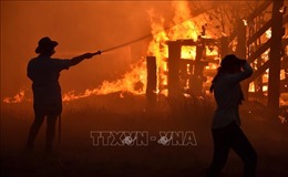 Hàng chục nghìn người sơ tán trước nguy cơ cháy rừng lan rộng tại Australia