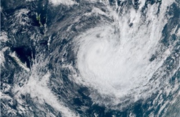 Hình thành bão nhiệt đới Blake, sức gió có thể lên tới 125 km/h
