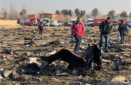 Vụ máy bay của Ukraine rơi tại Iran: Iran tuyên bố không giao hộp đen cho Mỹ 