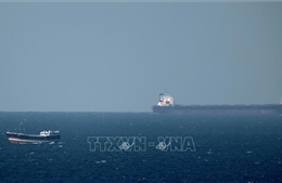 Nhiều nước ủng hộ sứ mệnh hải quân quốc tế tại Eo biển Hormuz