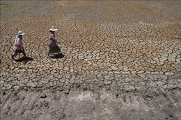 Thái Lan tăng cường đối phó với hạn hán