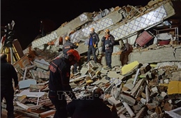 31 người thiệt mạng do động đất tại Thổ Nhĩ Kỳ