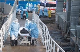 Diễn biến tình hình dịch bệnh virus Corona ngày 4/2