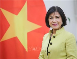 ILO đánh giá cao hợp tác với Việt Nam