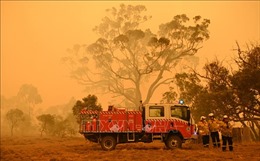 Australia mở cuộc điều tra toàn quốc về cháy rừng