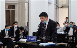Y án sơ thẩm, tuyên phạt tội &#39;trốn thuế&#39; đối với vợ chồng Trần Vũ Hải