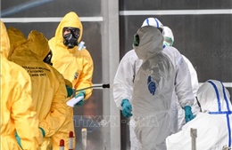  Italy xác nhận 357 trường hợp nhiễm SARS-CoV-2 và 11 ca tử vong