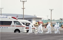 Tỉnh Hokkaido (Nhật Bản) ban bố tình trạng khẩn cấp