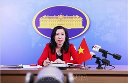 Chưa ghi nhận trường hợp cán bộ viên chức Cơ quan đại diện Việt Nam ở nước ngoài mắc COVID-19