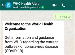 WHO sử dụng ứng dụng WhatsApp để thông tin chính thức về dịch COVID-19