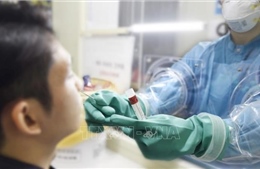 Ca nhiễm virus SARS-CoV-2 tại Hàn Quốc giảm 
