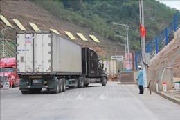 Xuất khẩu tiếp tục khó khăn khi Trung Quốc siết chặt quản lý tại cửa khẩu
