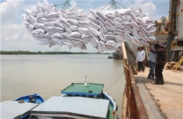 Yêu cầu báo cáo về đăng ký mở tờ khai xuất khẩu gạo