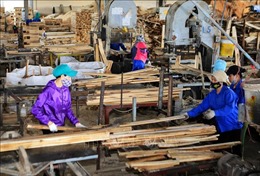Ngành chế biến, xuất khẩu gỗ chủ động thị trường để đạt mục tiêu 12 tỷ USD