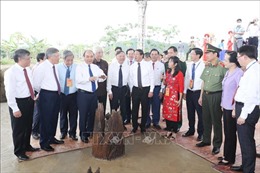 Thủ tướng dự khởi công Dự án khu bảo tồn bãi cọc Cao Quỳ