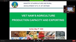 Khai phá thị trường Ấn Độ cho nông sản, thực phẩm chế biến Việt Nam