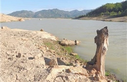 Khánh Hòa: Nhiều giải pháp giải hạn cho vùng &#39;khát nước&#39;