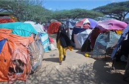 Liên hợp quốc kêu gọi cộng đồng quốc tế hỗ trợ Somalia