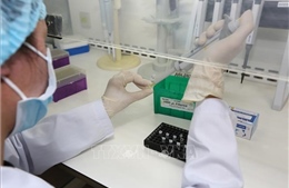 Singapore phát triển bộ xét nghiệm nhanh virus SARS-CoV-2