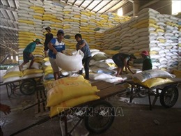 Tuần qua, giá lúa gạo ổn định, giá tiêu tiếp tục đà tăng