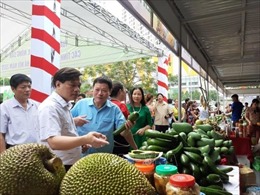 Khai mạc Tuần lễ trái cây, nông sản các tỉnh, thành phố tại Hà Nội