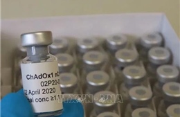 Brazil sẽ thử nghiệm lâm sàng vaccine phòng COVID-19 của Đại học Oxford
