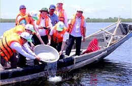 Thành lập Khu bảo tồn thiên nhiên đất ngập nước Tam Giang - Cầu Hai