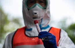 Nhật Bản tổ chức lại nhóm chuyên gia y tế cố vấn cho chính phủ 