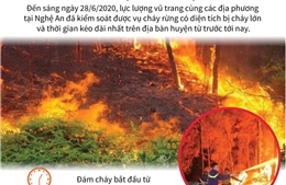 Cháy rừng ở Nghệ An đã được kiểm soát