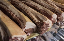 Trung Quốc ngừng nhập khẩu thịt lợn Hà Lan