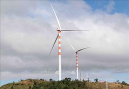 Nhiều nhà máy điện gió tại Gia Lai kịp hưởng lợi cơ chế ưu đãi giá