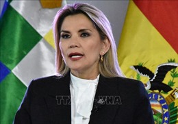 Tổng thống lâm thời Bolivia dương tính với virus SARS-CoV-2