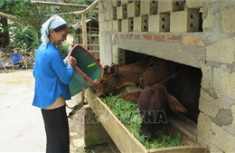 Lào Cai huy động trên 2.470 tỷ đồng xây dựng nông thôn mới