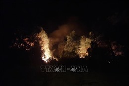 Quảng Ninh: Kịp thời dập tắt đám cháy rừng trong đêm
