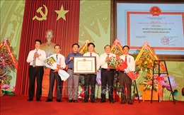 Quảng Trị: Công bố huyện Cam Lộ đạt chuẩn nông thôn mới