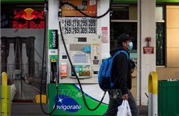Dầu WTI và Brent đồng loạt tăng giá trong tháng 7/2020