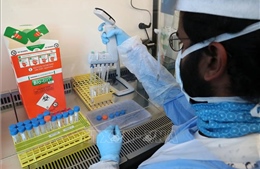 Anh triển khai hàng triệu bộ xét nghiệm phát hiện nhanh virus SARS-CoV-2