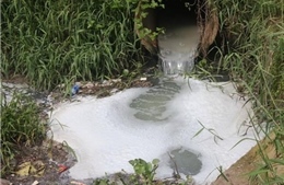 Hưng Yên: Phạt doanh nghiệp hơn 700 triệu đồng do làm ô nhiễm môi trường