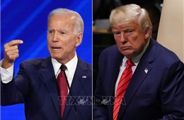 Ông Biden vượt Tổng thống Donald Trump trong hầu hết 40.000 cuộc bầu cử mô phỏng