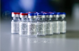  Nga: Giá xuất khẩu 2 liều vaccine Sputnik V ít nhất là 10 USD