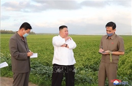 Nhà lãnh đạo Kim Jong-un chủ trì cuộc họp đánh giá thiệt hại của bão