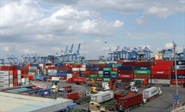 Đề xuất 3 nhóm giải pháp giải quyết hàng tồn tại cảng Cát Lái