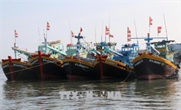 Khắc phục &#39;thẻ vàng&#39; IUU: Không để tàu cá khai thác trái phép vùng biển nước ngoài