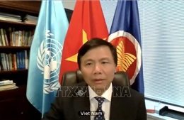 Việt Nam đánh giá cao hợp tác giữa Liên hợp quốc và Liên minh châu Phi