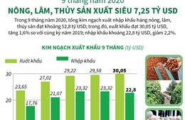 9 tháng năm 2020: Nông, lâm, thủy sản xuất siêu 7,25 tỷ USD